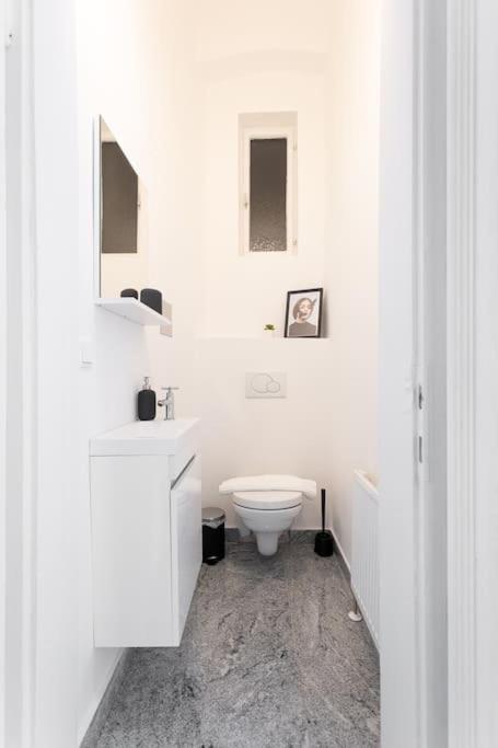 Franz 23 - Typical Viennese In The Heart Of Apartment Wien